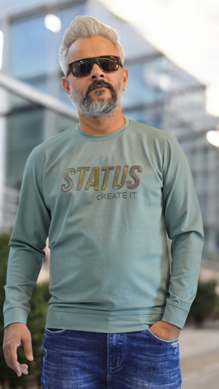 premium full sleeve tshirt full sleeve status